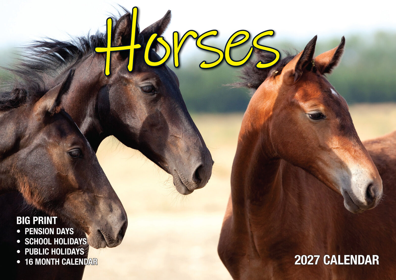 Horses - 2027 Rectangle Wall Calendar 16 Months Animal Pet Planner New Year Gift