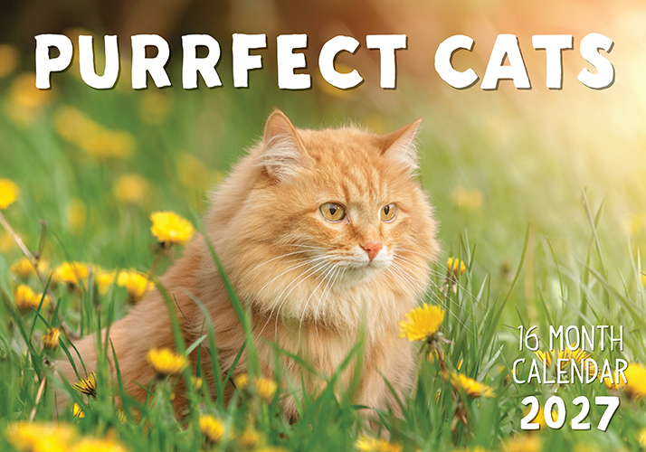 Purrfect Cats - 2027 Rectangle Wall Calendar 16 Month Pets New Year Planner Gift
